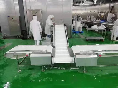 High Quality Ztl-600 Hoisting Conveyor Belt Packing Conveyor Belt