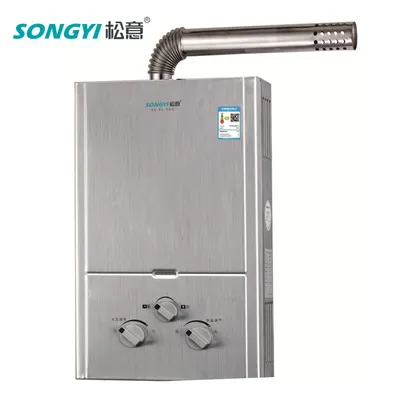 Forced Exhaust Wall Mounted Gas Water Heater Instant Tankless Gas Geyser