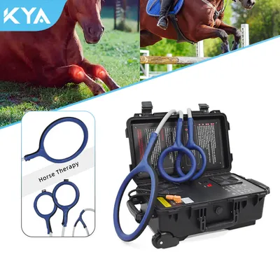 Muscle Gain Inflammation Pemf Reduction Cellular Repair Therapy Equine Device for Horses