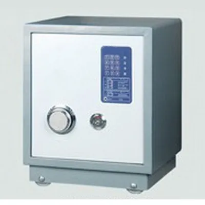 Digital Electronic Safe