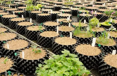Factory Direct Price Root Container Reusable Air Pruning Pot for Plant Tree and Flower
