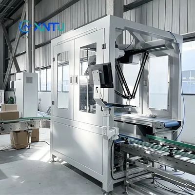 Delta Robot Box Packing Machine with Carton Erecting for Beverage Bottles