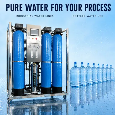 Water Treatment Equipment for Bagged Water Factories with CE and RoHS Certification RO System Purifier Machine
