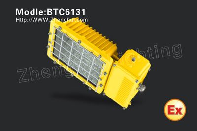 Plant Explosion-Proof Flood Light