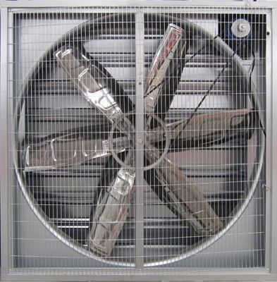 Exhaust Fan