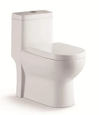 Cheap Personalized Toilet Bowl Hand Flush White Matte Water Closet White