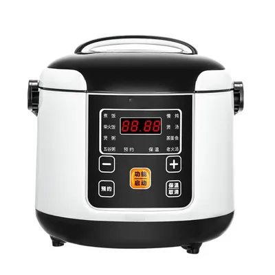 Hot Sale Multifunction 12V24V2l Car Electric Appliance Convenient Mini Rice Cooker