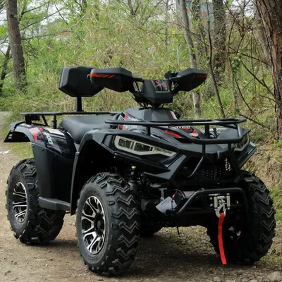 300cc ATV 4X4 Quad Bike Petrol Four Wheel for Linhai 300d