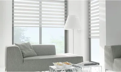Light & Privacy Control Blinds for Windows