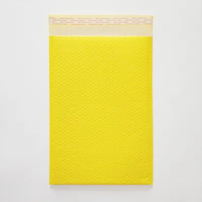 Bubble Bag Envelope Mailer Bag with PP Lamination