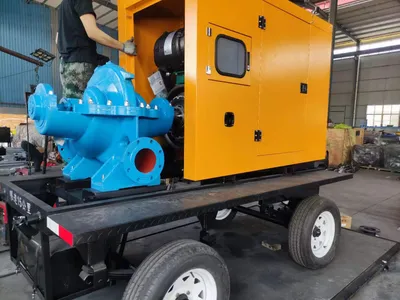 Irrigation Water Pump Double Suction Pump