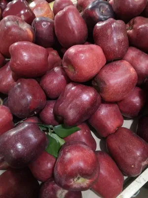 Chinese Red Sweet Apple with Good Quality