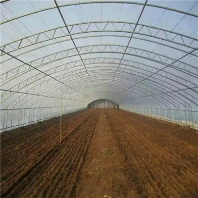 Steel Green House Frame with C Shape for Durable Plant Protection