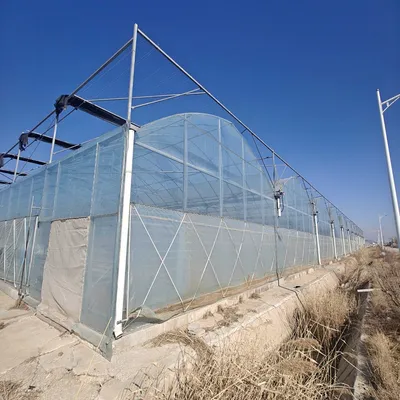 Large-Scale Film-Covered Multi-Span Green House for Growing Vegetables and Fruits