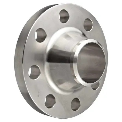Forged Pipe Flange for Water Treatment
