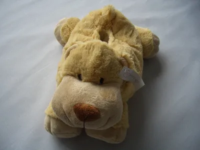 Tissie Paper Cover Bear