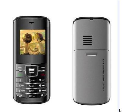 Single Card Mobile Phone (QD-102)