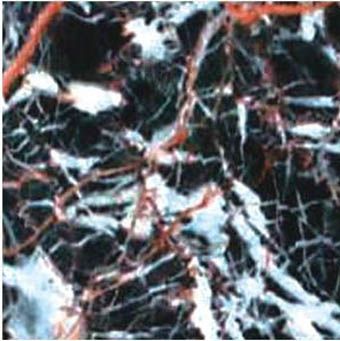 Flora Brown Marble