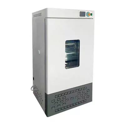 Constant Temperature and Humidity Incubator