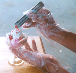 Disposable PE Gloves (ZY-C04)