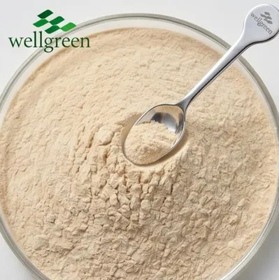 Top Grade Natural Korean Red Ginseng Powder Red Ginseng Root Extract Powder