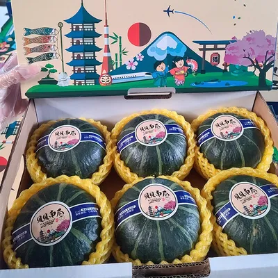 Compact Growth Mini Soft Dense Powdery Flesh Tender Sweet Taste Fresh Vegetables Beibei Pumpkin