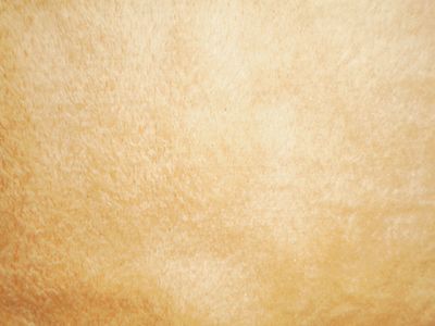 Coral Fleece