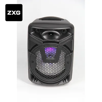 Promotional 8 Inch Christmas Powered handle Mini Speaker with Wireless Microphone
