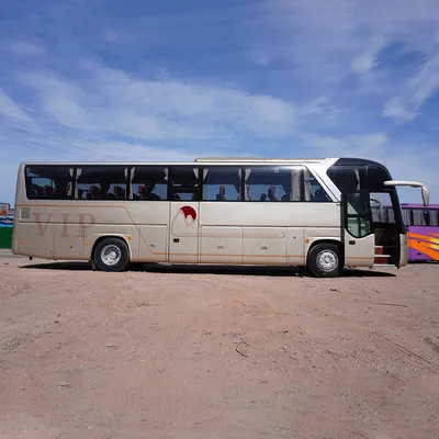 Used Coach Bus with Reply Very Quickly 55 Seats Euro Long Transportation Tour Bus in China