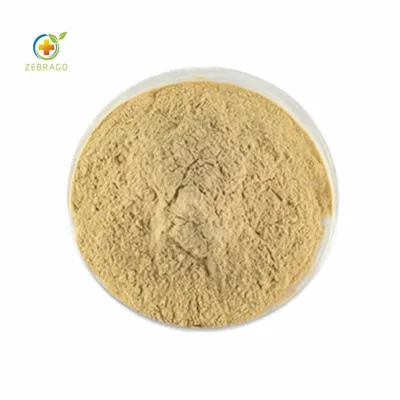 Zebrago Supply Bulk Ruscus Aculeatus Extract Ruscogenin