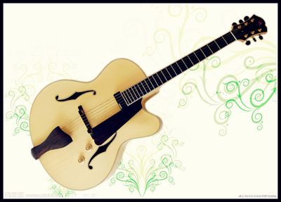 6 String Jazz Guitar Stock, 10% Discount (YZ-20N)