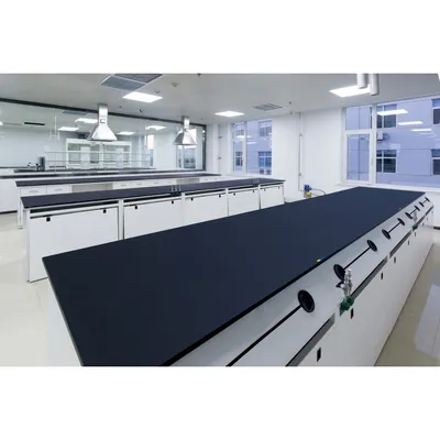 Flexible Corrosion Resistant Lab Central Bench with Refrigerator for Experiment