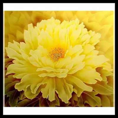 5mm Decorative Pattern Glass