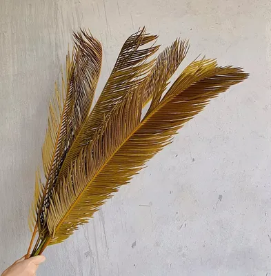 Amazon Popular High Quality Pampas Decor Dried Artificial Banana Leaf Brown Pampas Grass Iron Tree Leaves