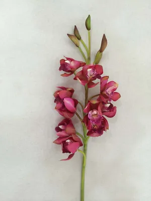 Artificial Silk Flowers Orchid Flowers for Decoration