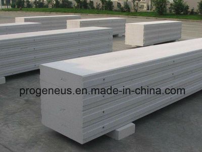 Progeneus 175mm AAC Panel Alc Panel Lightweight Wall Panel