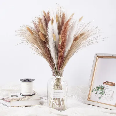 Real Dried Decorative Mixed Reed Bunny Tail Small Pampas Grass Bouquet for Home Decoration Natural Fluffy Pampas Grass Plant