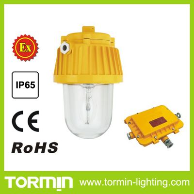 150W Low Maintenance Explosion-Proof Platform Light From China Manufacturer