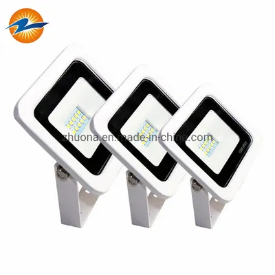 New Model LED Outdoor LED Lighting Waterproof Floodlight High Power Lamps IP65 100W LED Lamp