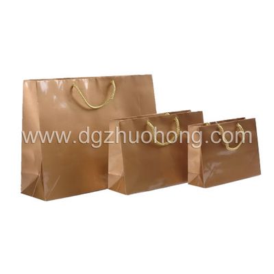 Promotional Paper Bag