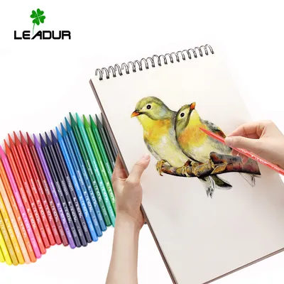 Wood-Free Full Lead Design, Environmentally Friendly and Durable Colouring Pencils