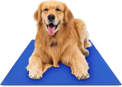 Gel Cooling Mat for Pets - Extra Large, Non-Toxic, Portable Comfort