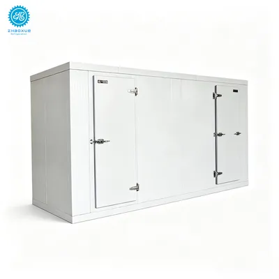 Customized Walk in Freezer for Commercial Food Storage Room
