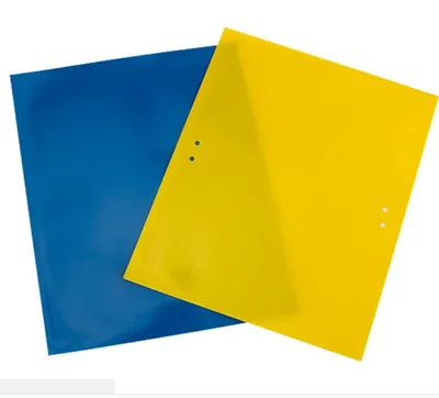 Orchard Garden Insect Sticky Catchers