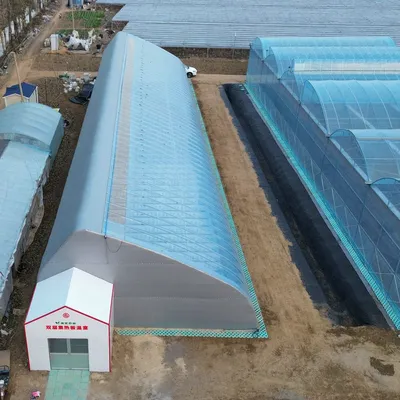 Steel Frame Double Layer Sunlight Greenhouse with Quilt for Cold Area