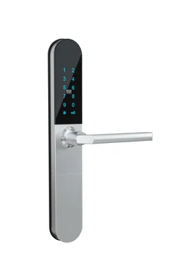 Zinc Alloy Smart Keypad Door Lock with Ttlock APP