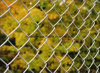 High Quality Galvanized/Coated Chain Link Fence