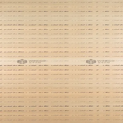Building Interior Project Decorative Art Acoustic Panel Wy-A10