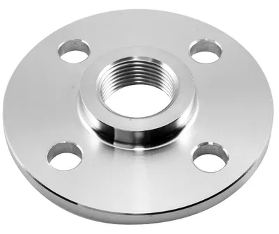 Sanitary Forged Flange