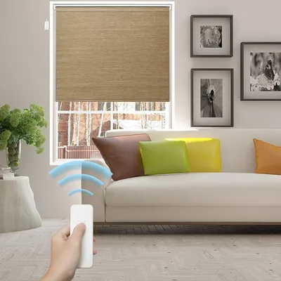 China Made Window Blinds Electric Motorized Windproof Roller Shutters